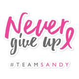 Never Give Up Sticker - #TEAMSANDY