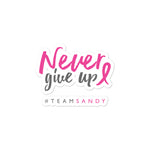 Never Give Up Sticker - #TEAMSANDY