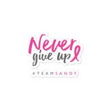 Never Give Up Sticker - #TEAMSANDY