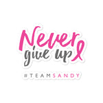 Never Give Up Sticker - #TEAMSANDY